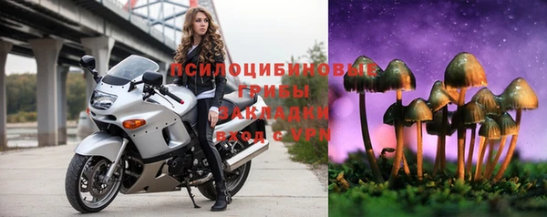 бошки Алзамай