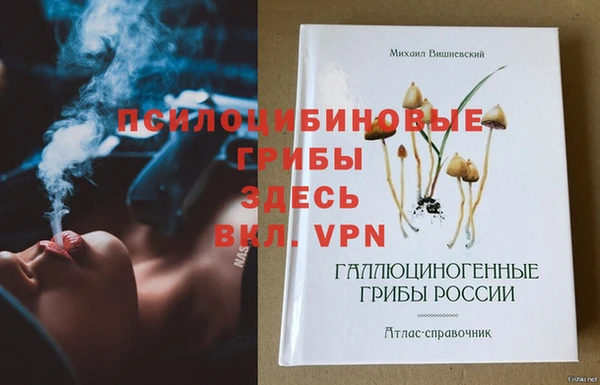 бошки Алзамай