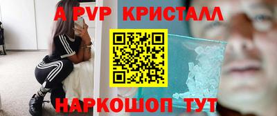 твердый Гусев